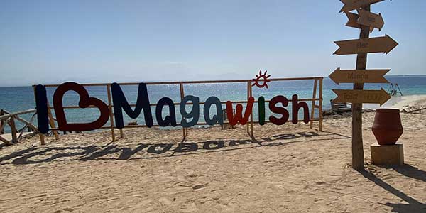 Два погружения в Красном море фото 2